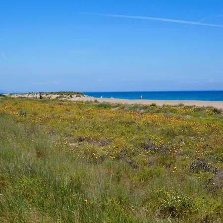 Penthouse In With Private Terrace