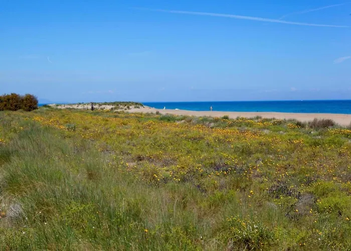 Penthouse In With Private Terrace
