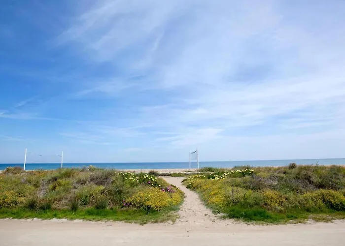 Appartement Penthouse In With Private Terrace